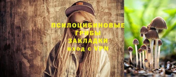экстази Вяземский