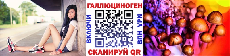 Галлюциногенные грибы MAGIC MUSHROOMS Ачинск